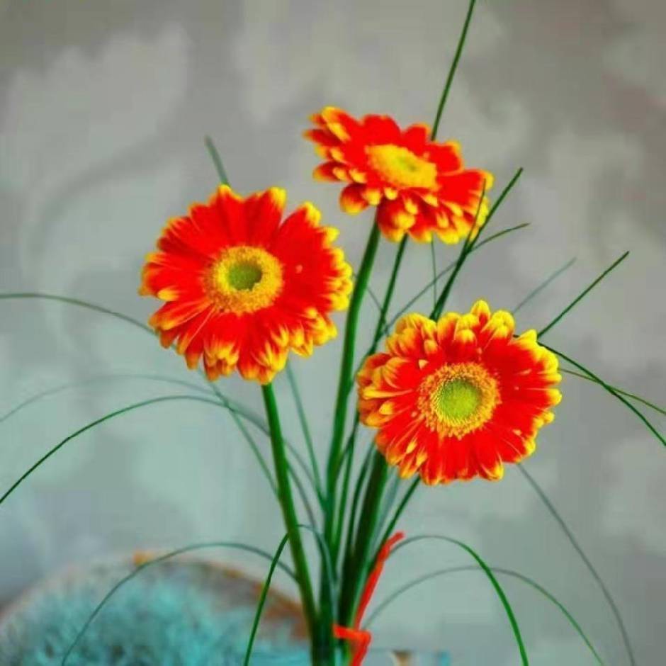 花开有声