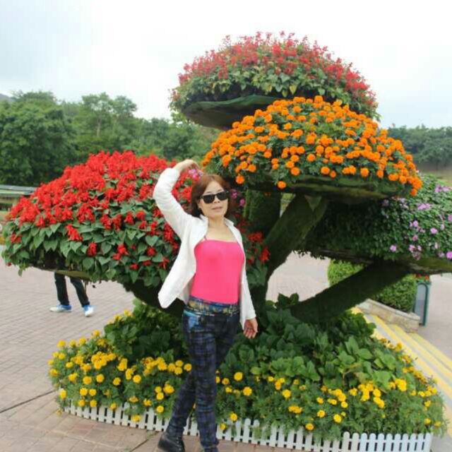 香菜