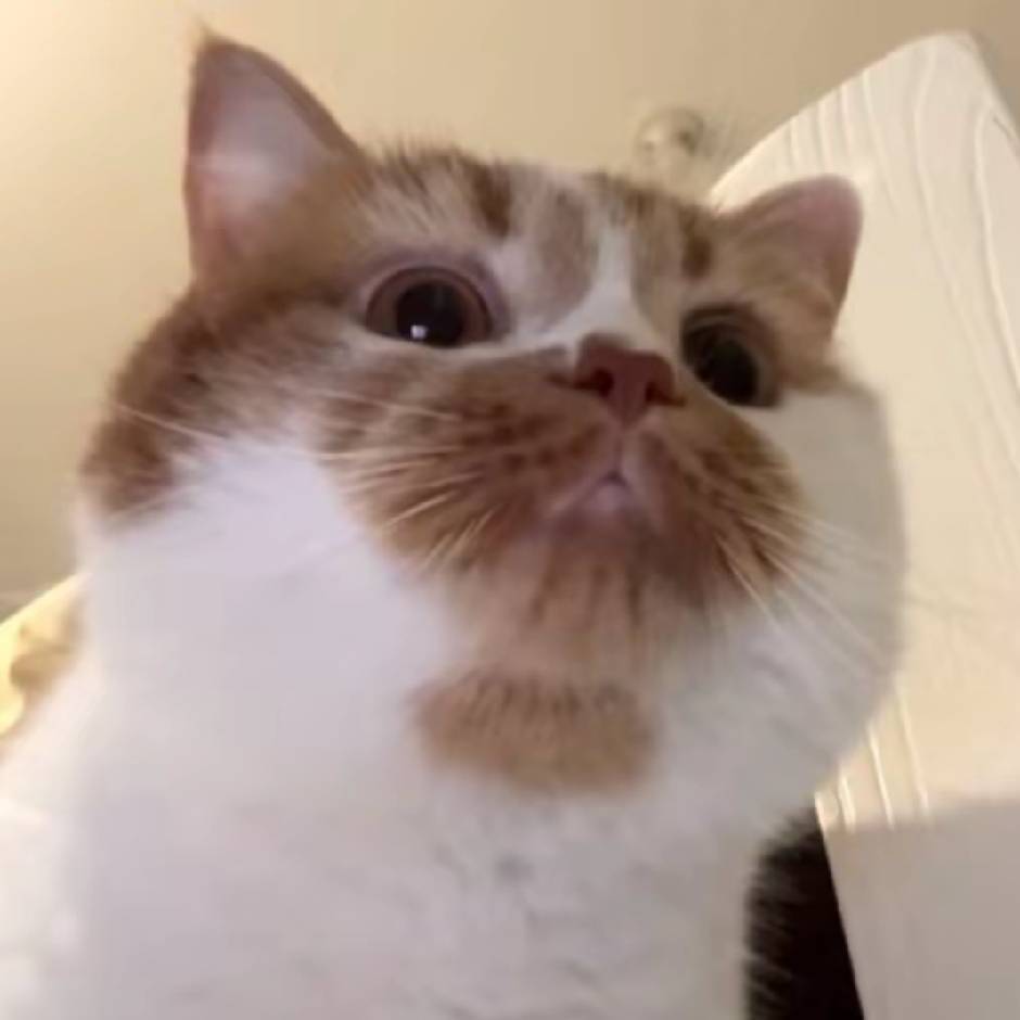 seokfuuuu