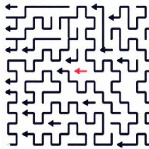 广州探游者网络技术有限公司