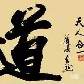 淇淇
