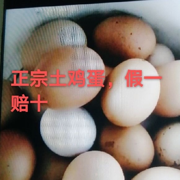 陕北土鸡蛋，假一赔十19991084416