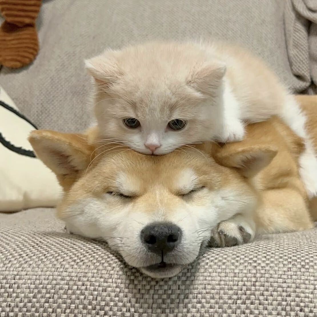 一知
