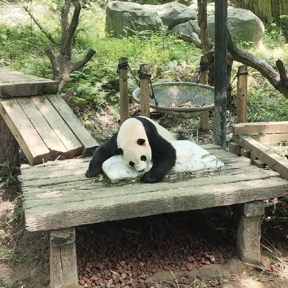 锦洲