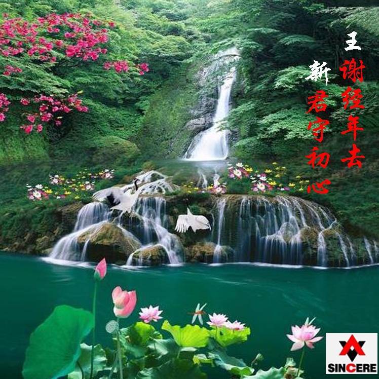王新¹⁸⁷⁴²²³⁰³³³