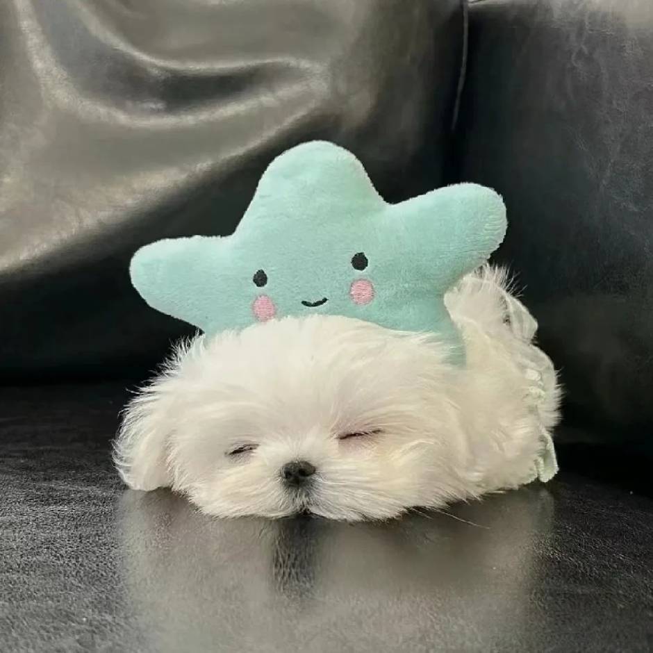 十月
