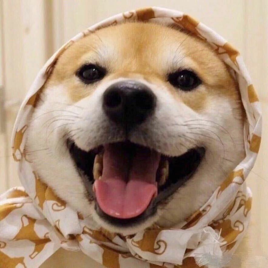 可可