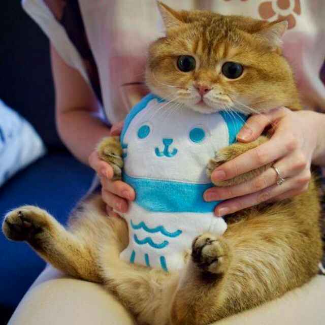 对方正在输入...