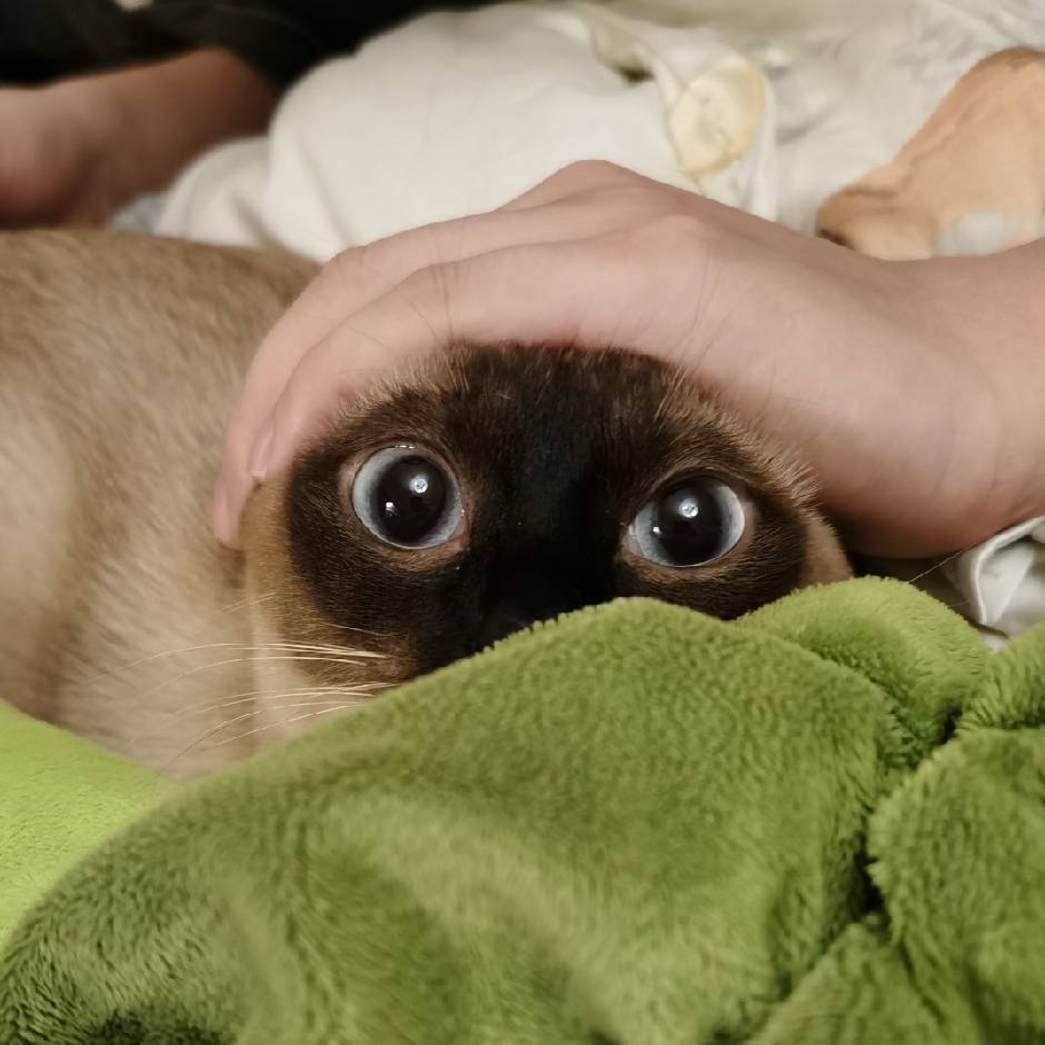 328 ‍世界遊樂場