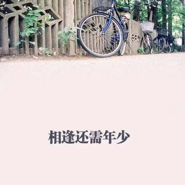 琦美君