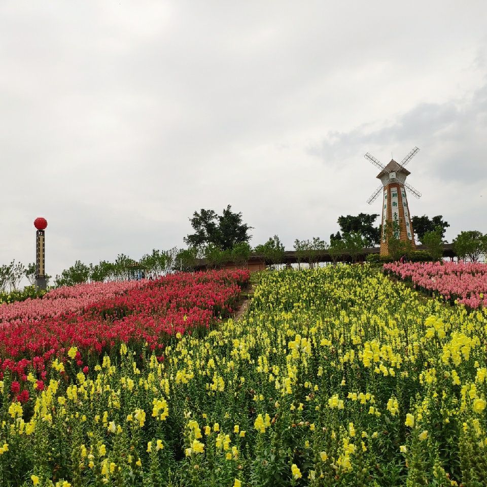 最光阴