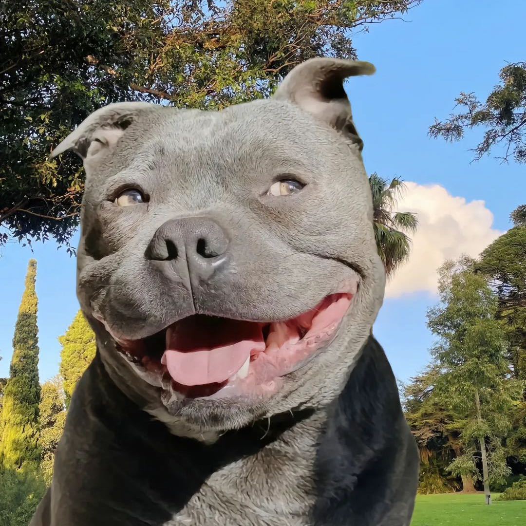 OneSheepThousandHappy