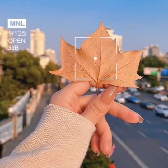 愉悦欣