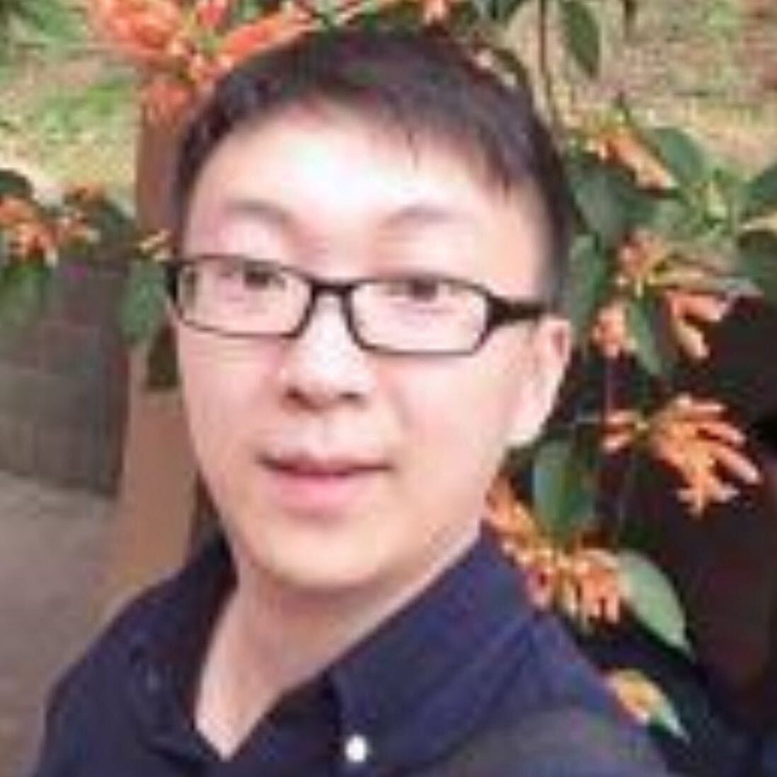 聪明猪