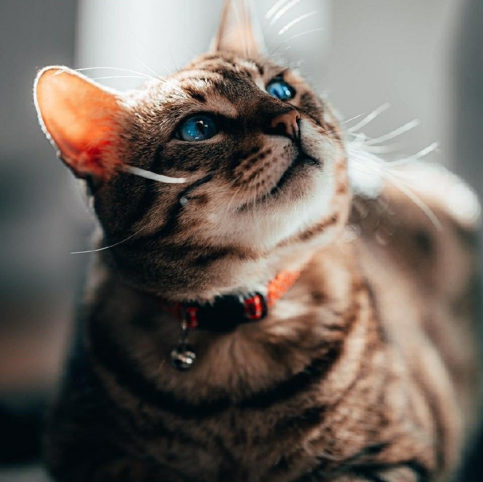 ＜
