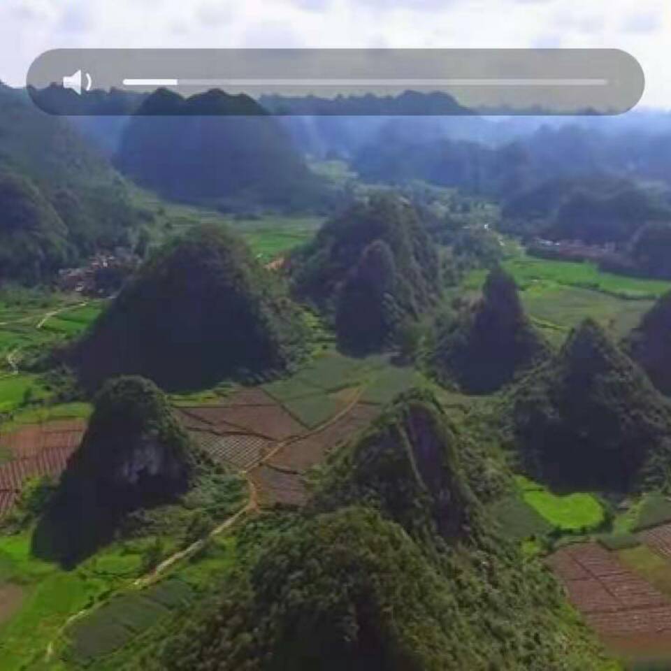 冯蒲煃爷爷17393932646