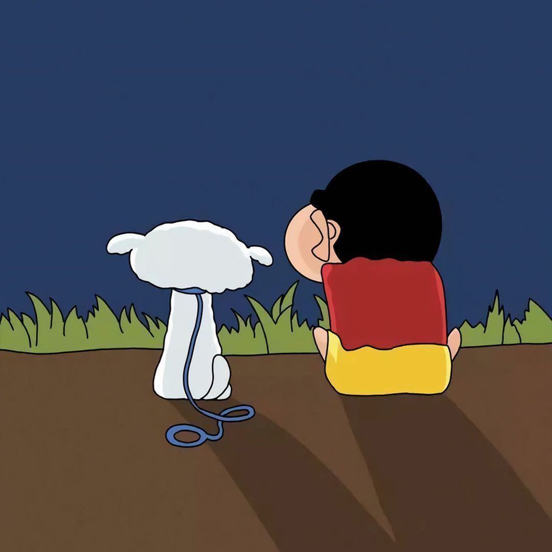 会飞的鱼