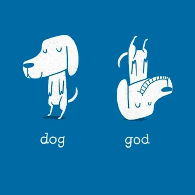 God.like.Dog