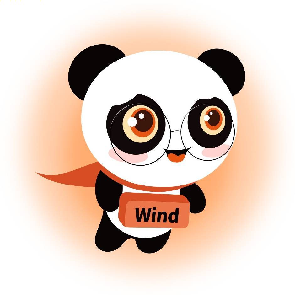 PandaEU国际转运 全栈工程师 Wind