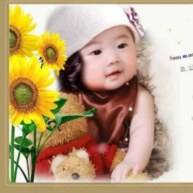 贺磊