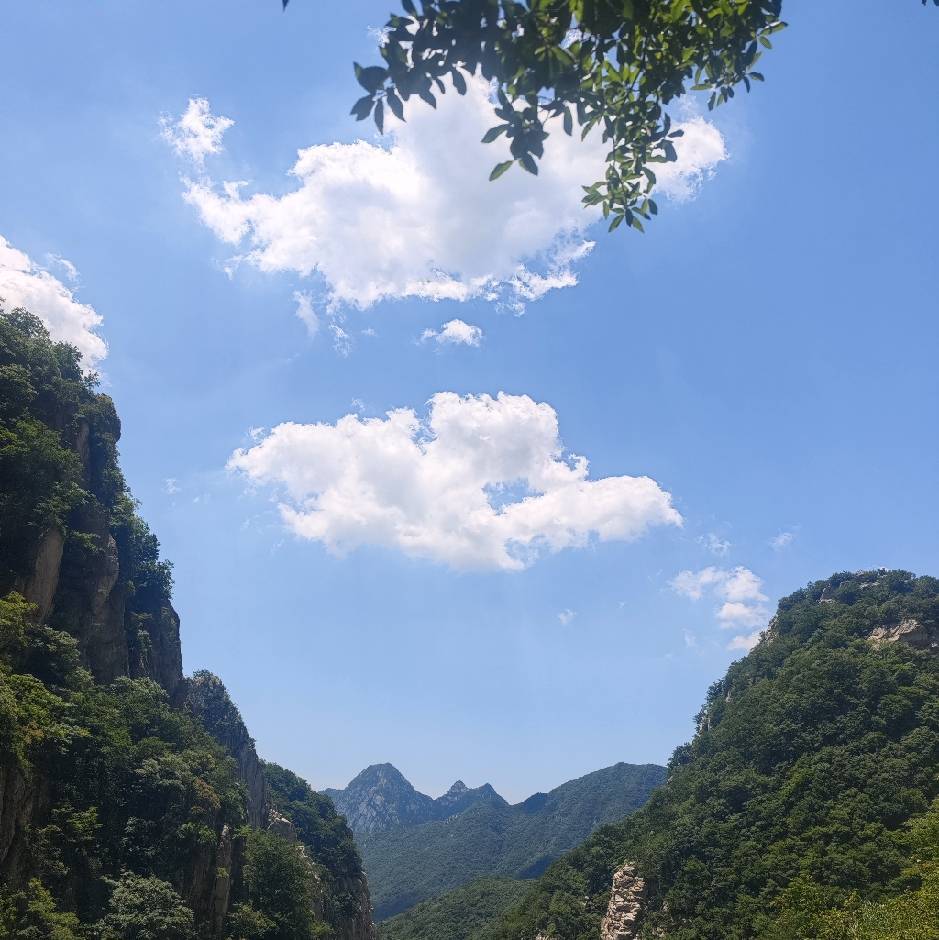 闵叶灵