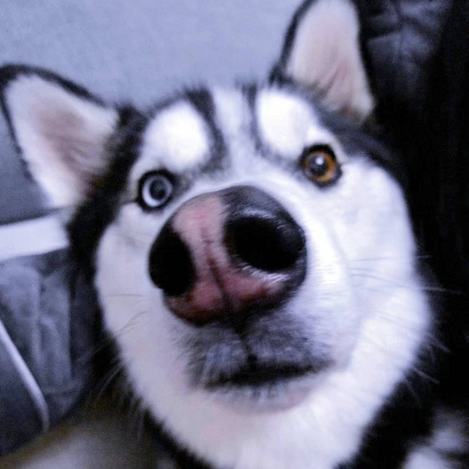 柯⃰宝🏢🤪