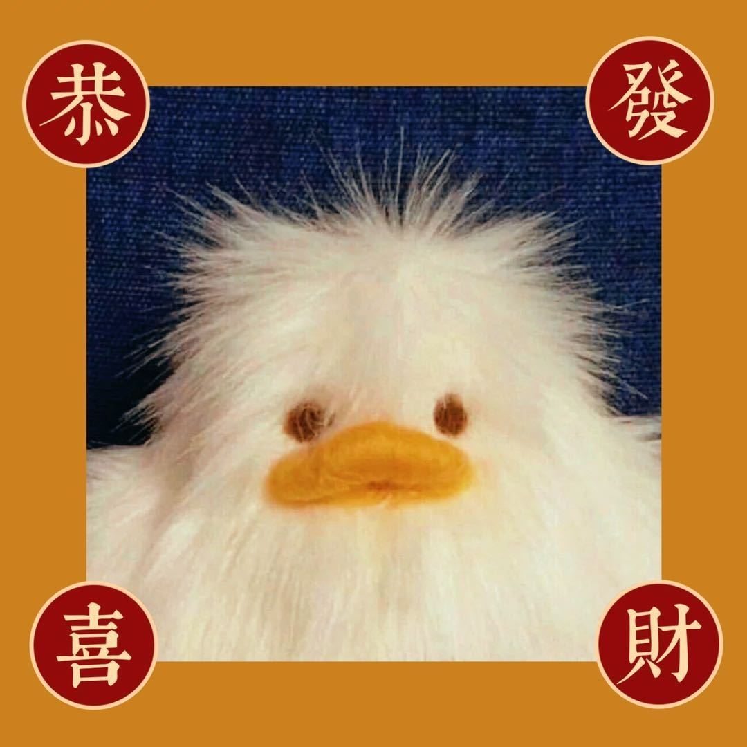 王艺璇💡