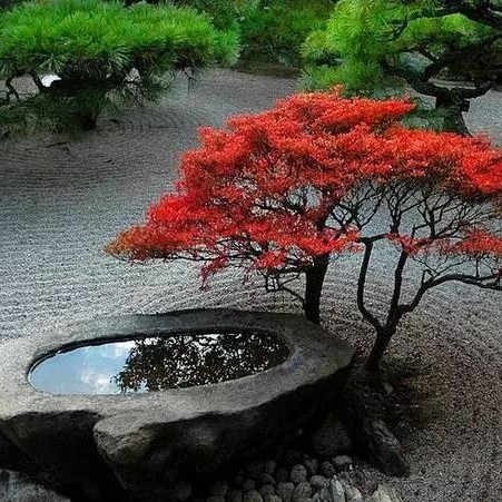 用戶頭像