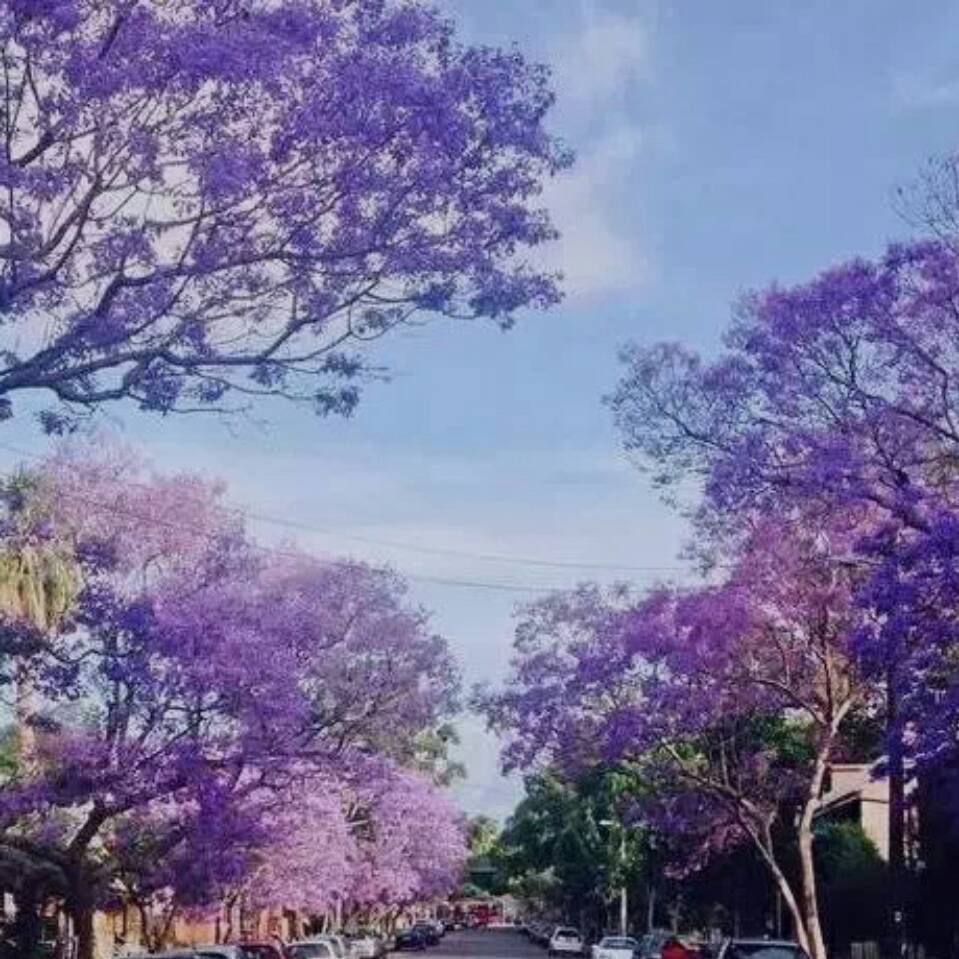 用戶頭像