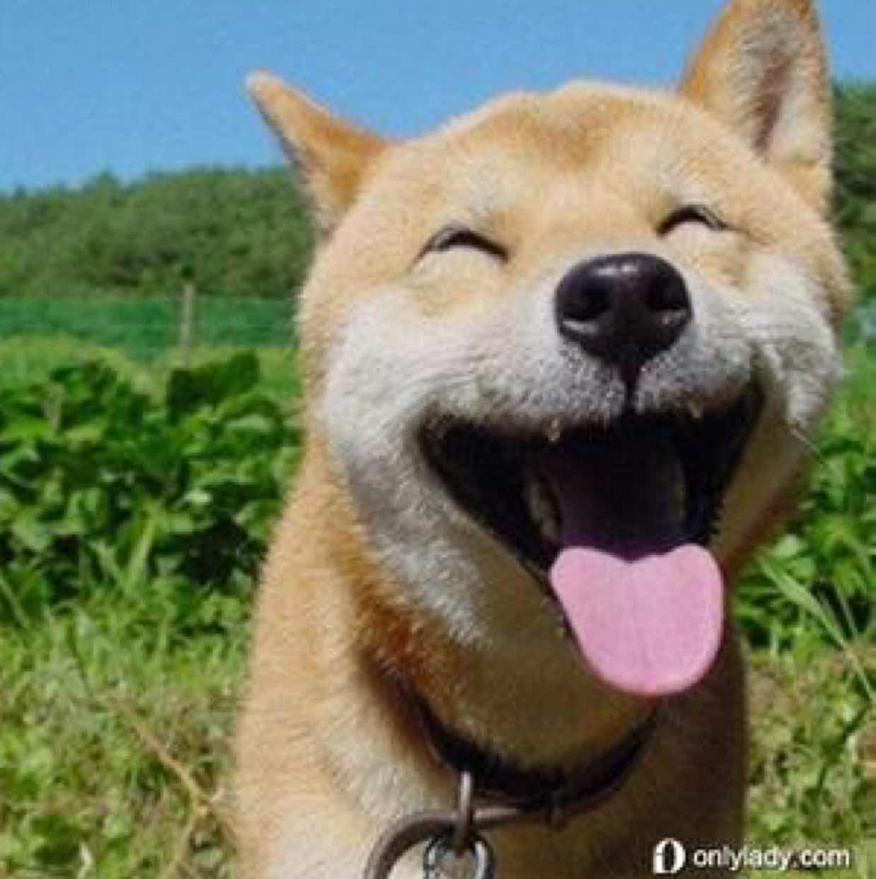 用戶頭像