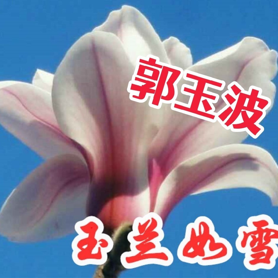 玉兰如雪（郭玉波）