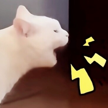 吃我一猫子