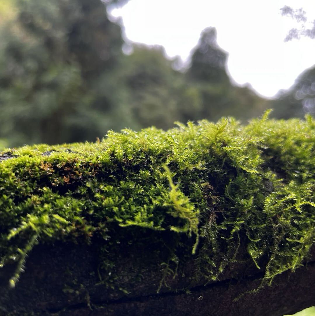 吴海东