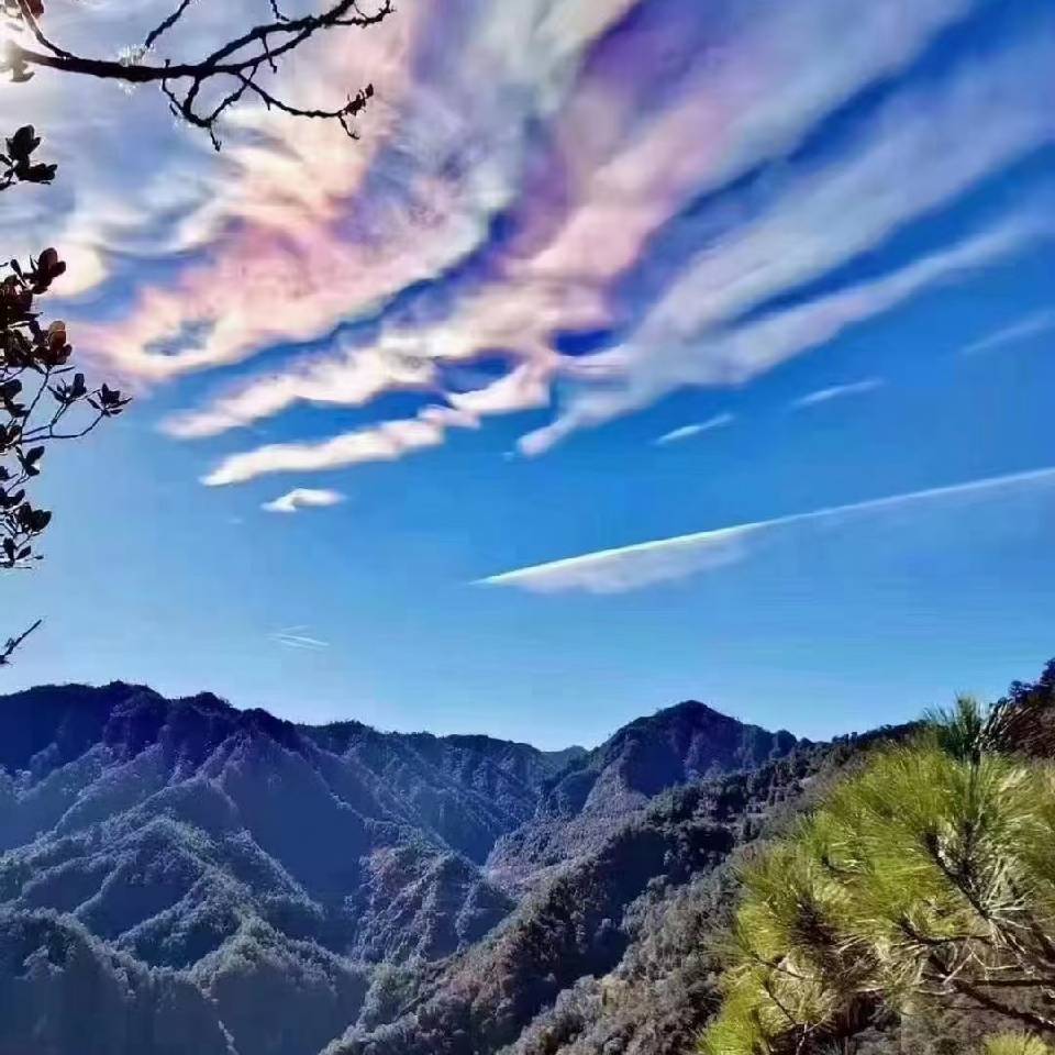 用户头像