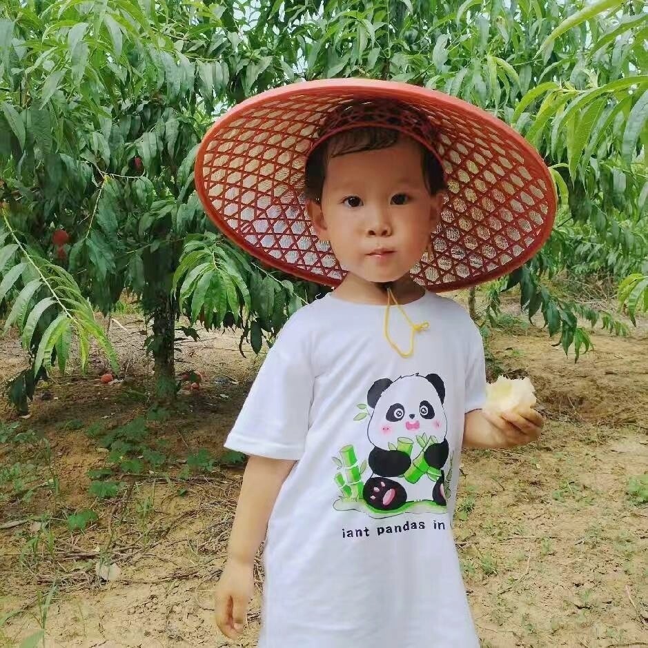 张涛