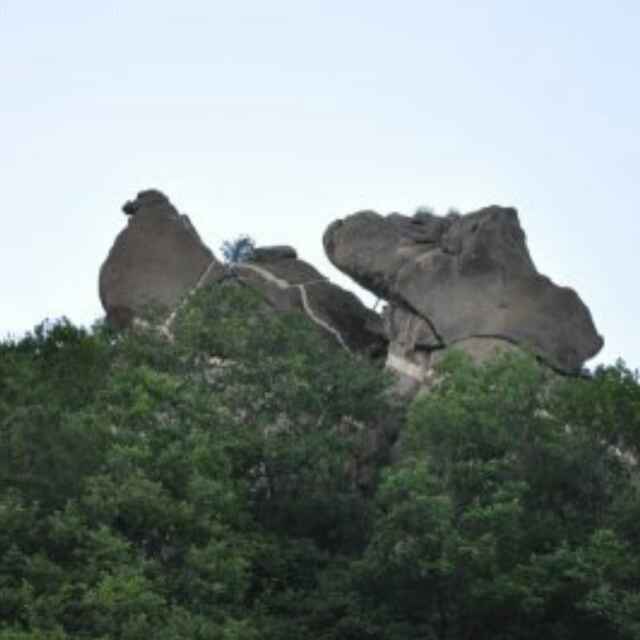 崔金山