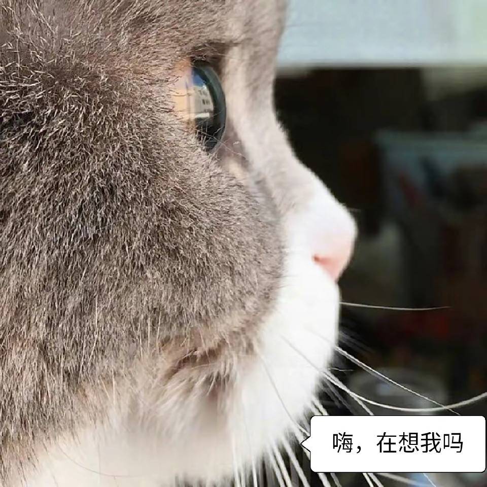 王心燕丨洗衣液18321323285