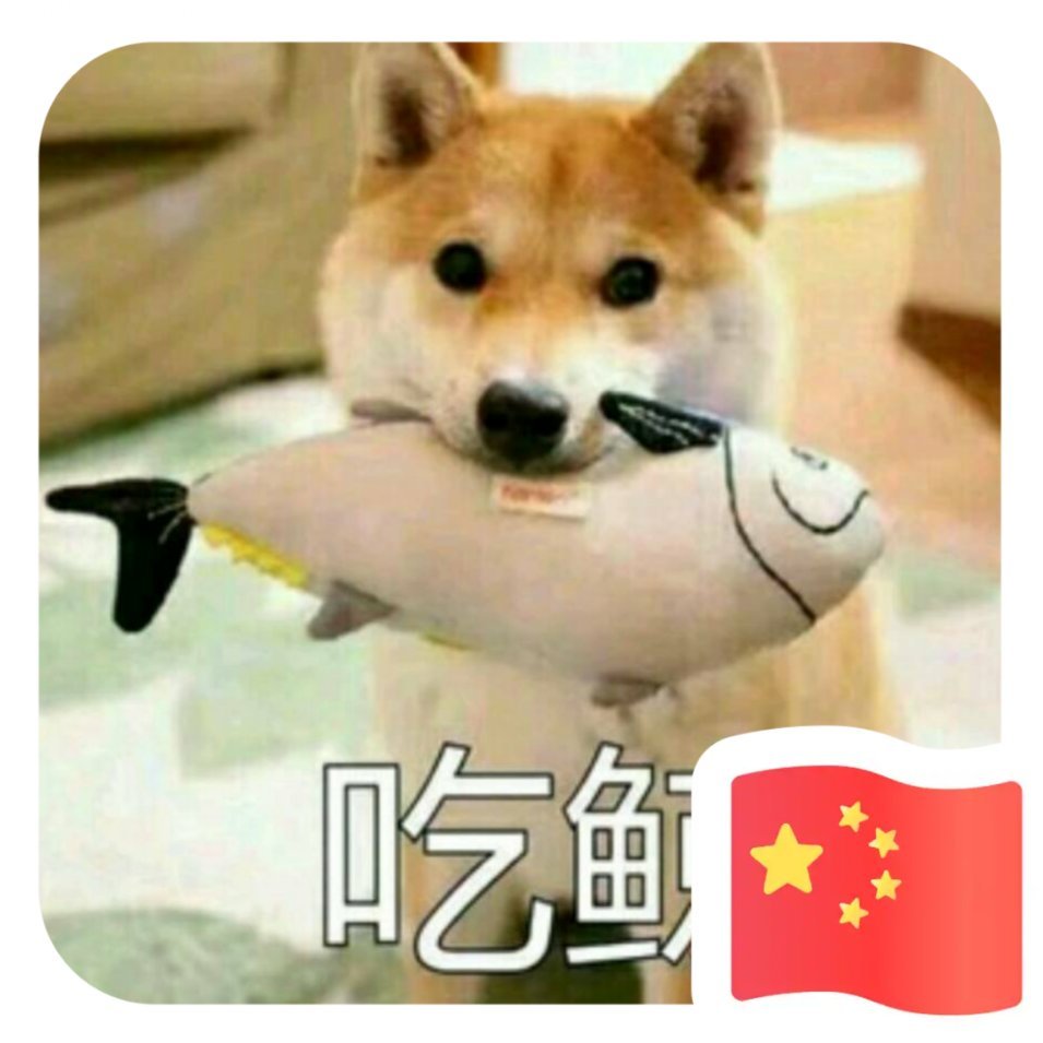 贫僧最近有点儿忙