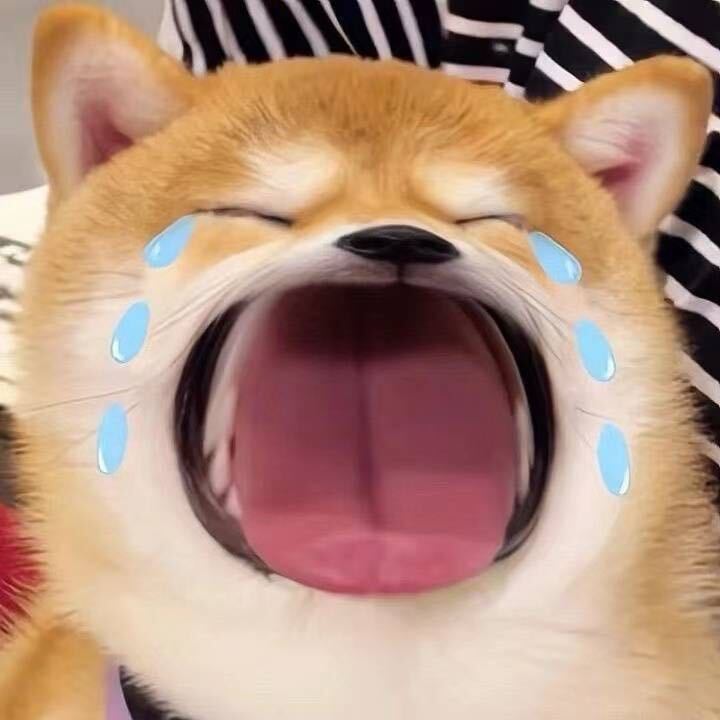 ଲଇଉକ