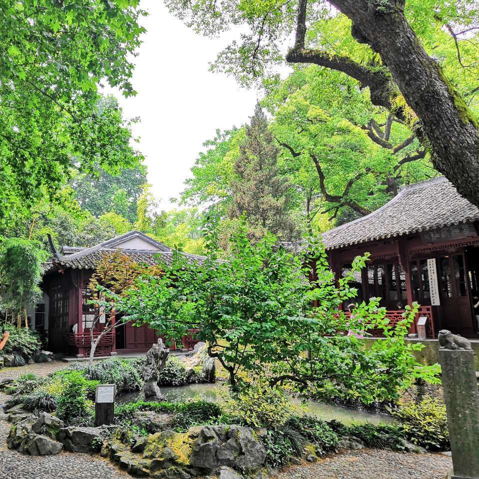 陈