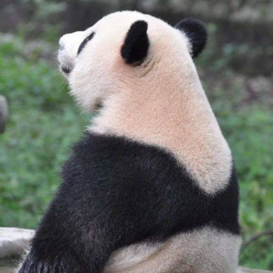 cium玉春湖🇨🇳