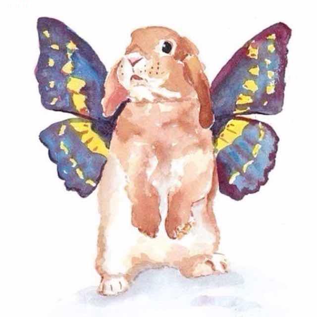 小白兔兽性大发