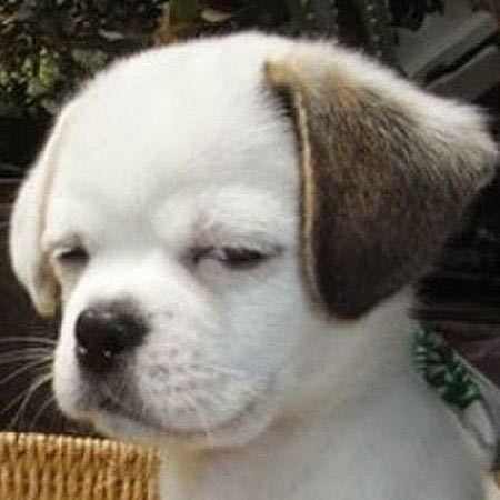 🐔岳小威子🙅🧎📵