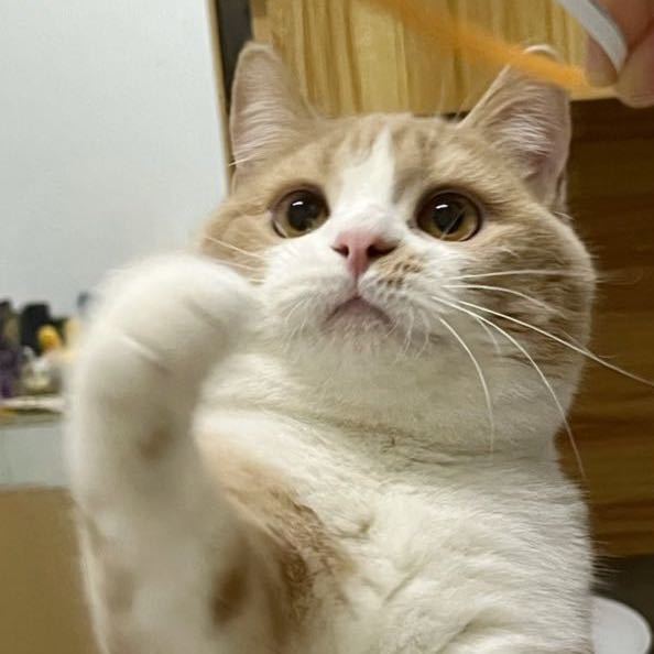 lerr