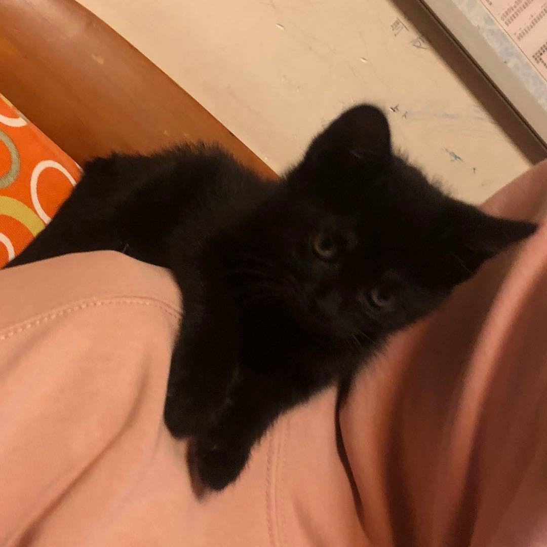 Chico
