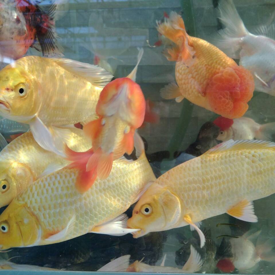 免费招聘信息发布