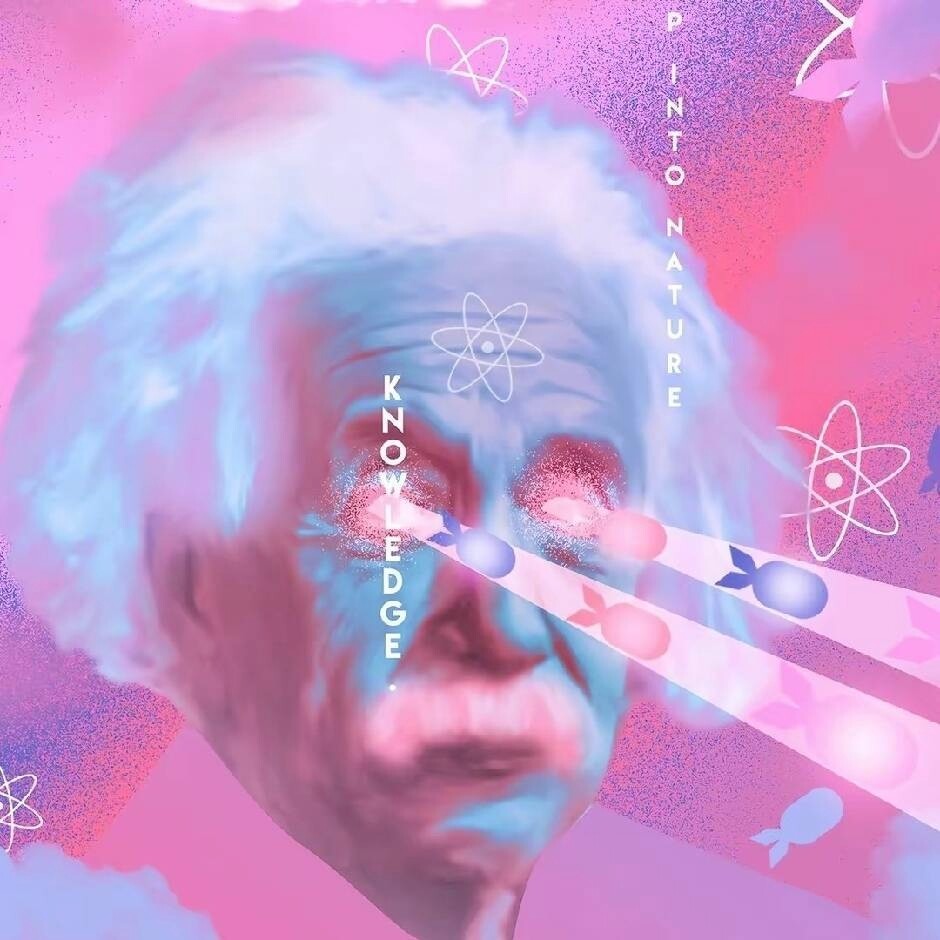 羽戈