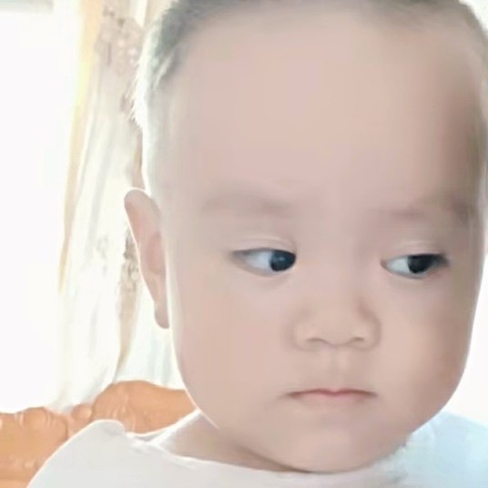 熊大熊二的小熊