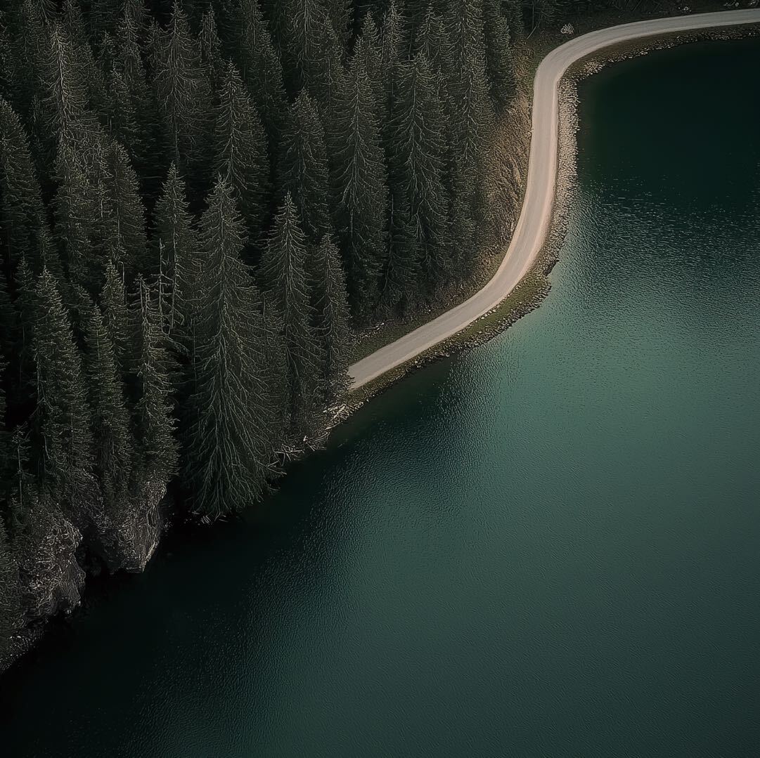 峰骨绿翼