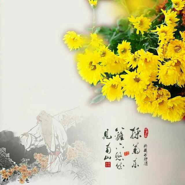 采菊东篱
